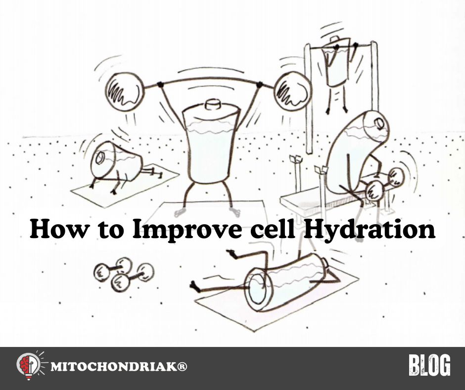 How to Improve cell Hydration